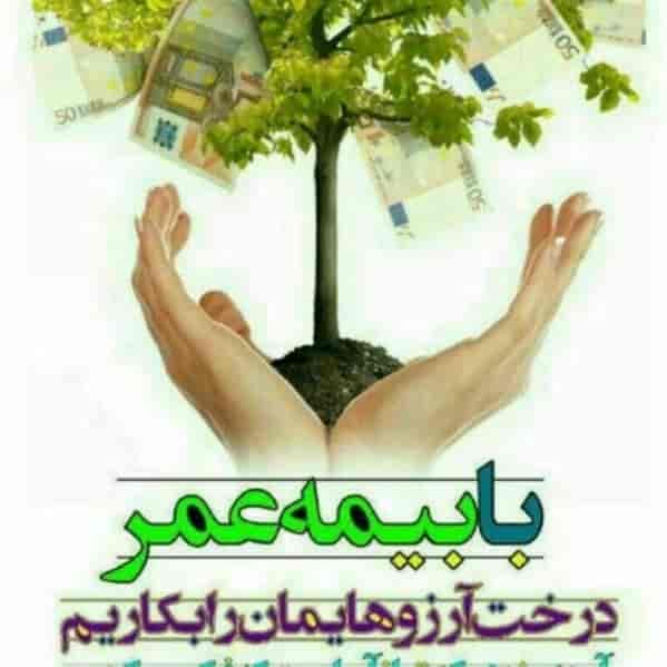 1705128350726.webp